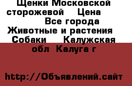 Щенки Московской сторожевой  › Цена ­ 25 000 - Все города Животные и растения » Собаки   . Калужская обл.,Калуга г.